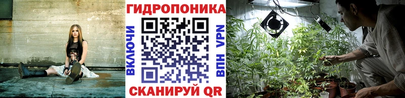 Виды наркоты Гаврилов Посад APVP Гашиш КЕТАМИН COCAIN Бошки Шишки