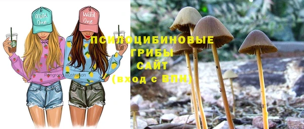 твердый Михайловка